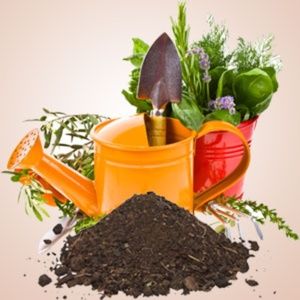 Garden Dirt Hand Poured Soy (6.5 oz) Candle